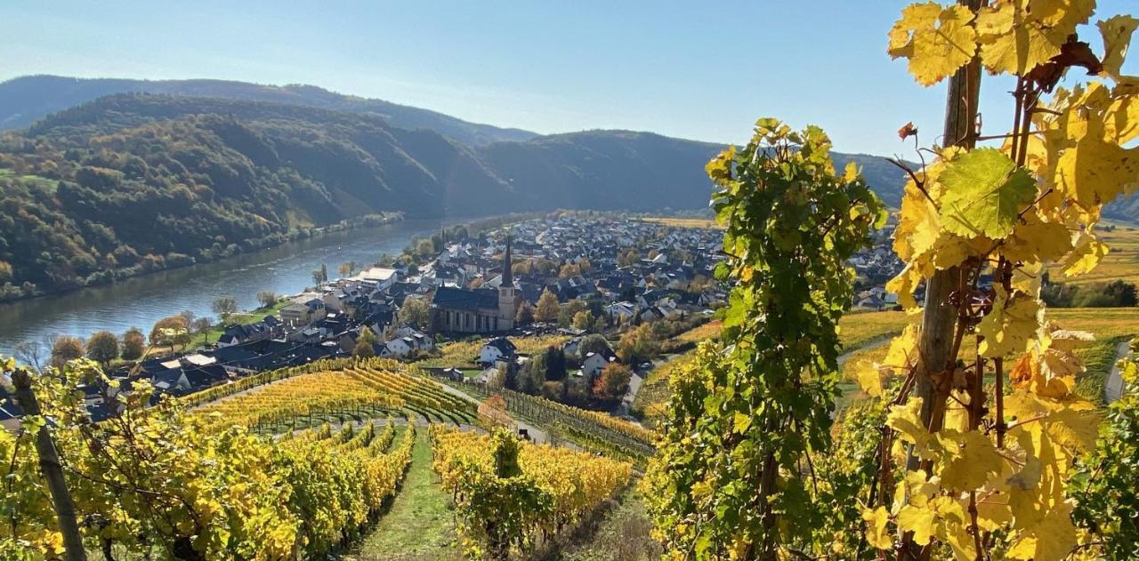 Apartment Weingut Krupka Riverside *